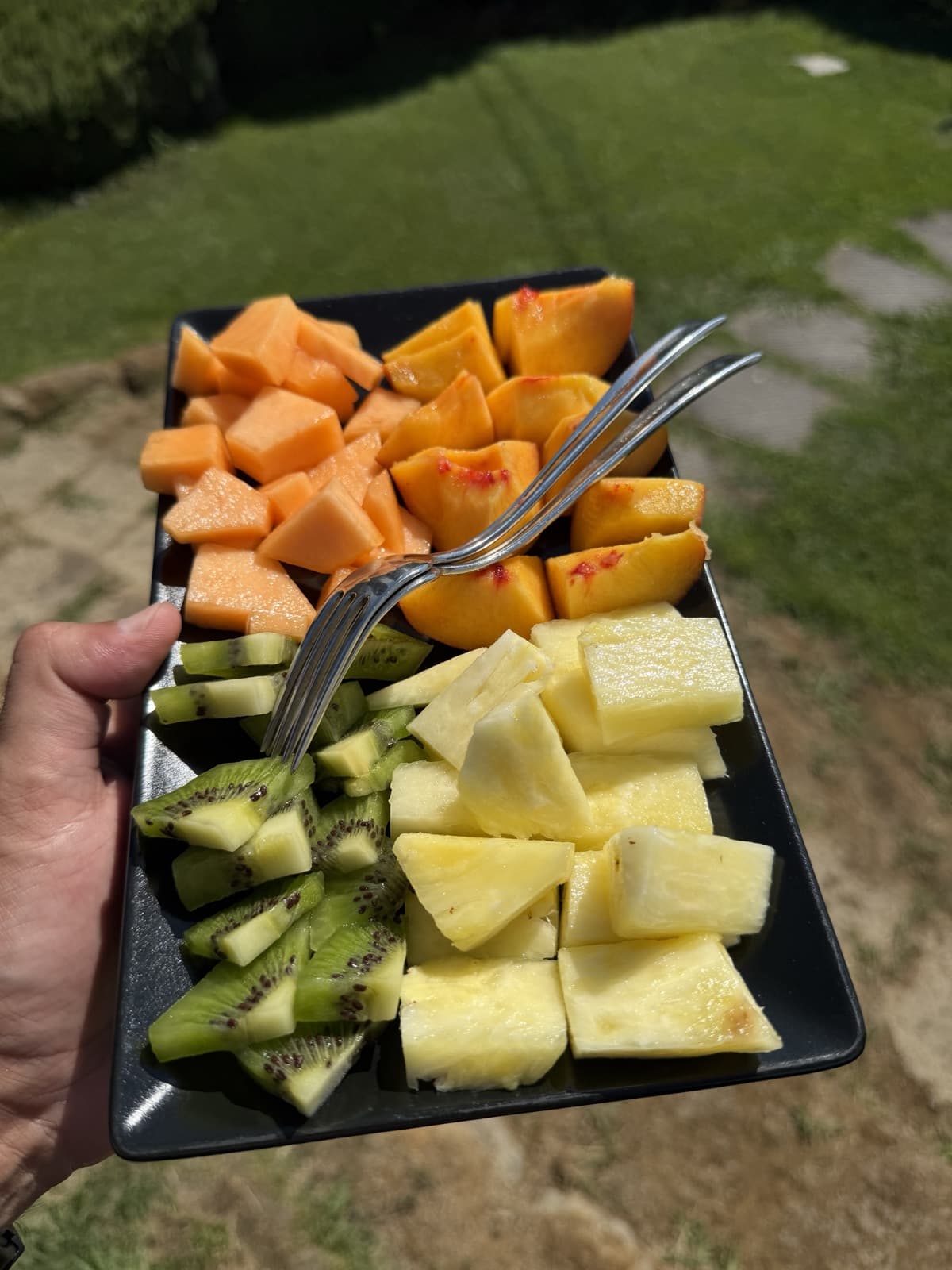 A black rectangular plate held up in one hand in the sunshine over grass, holding cut melon, peach, kiwi and pineapple with two forks resting across it