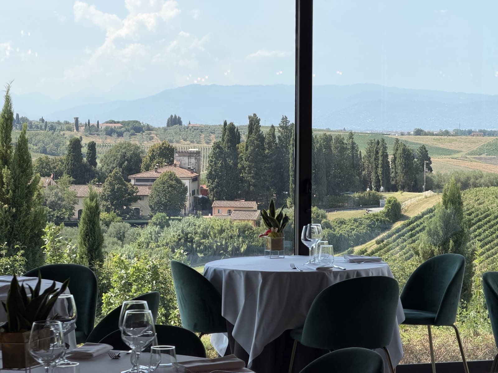 A laid table at the window, cypresses, a stone villa, vineyards and blue hills beyond the glass