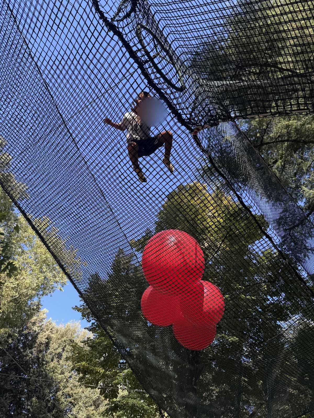 A child suspended in the high net at Parco Avventura Lungarno, with red balls hanging below