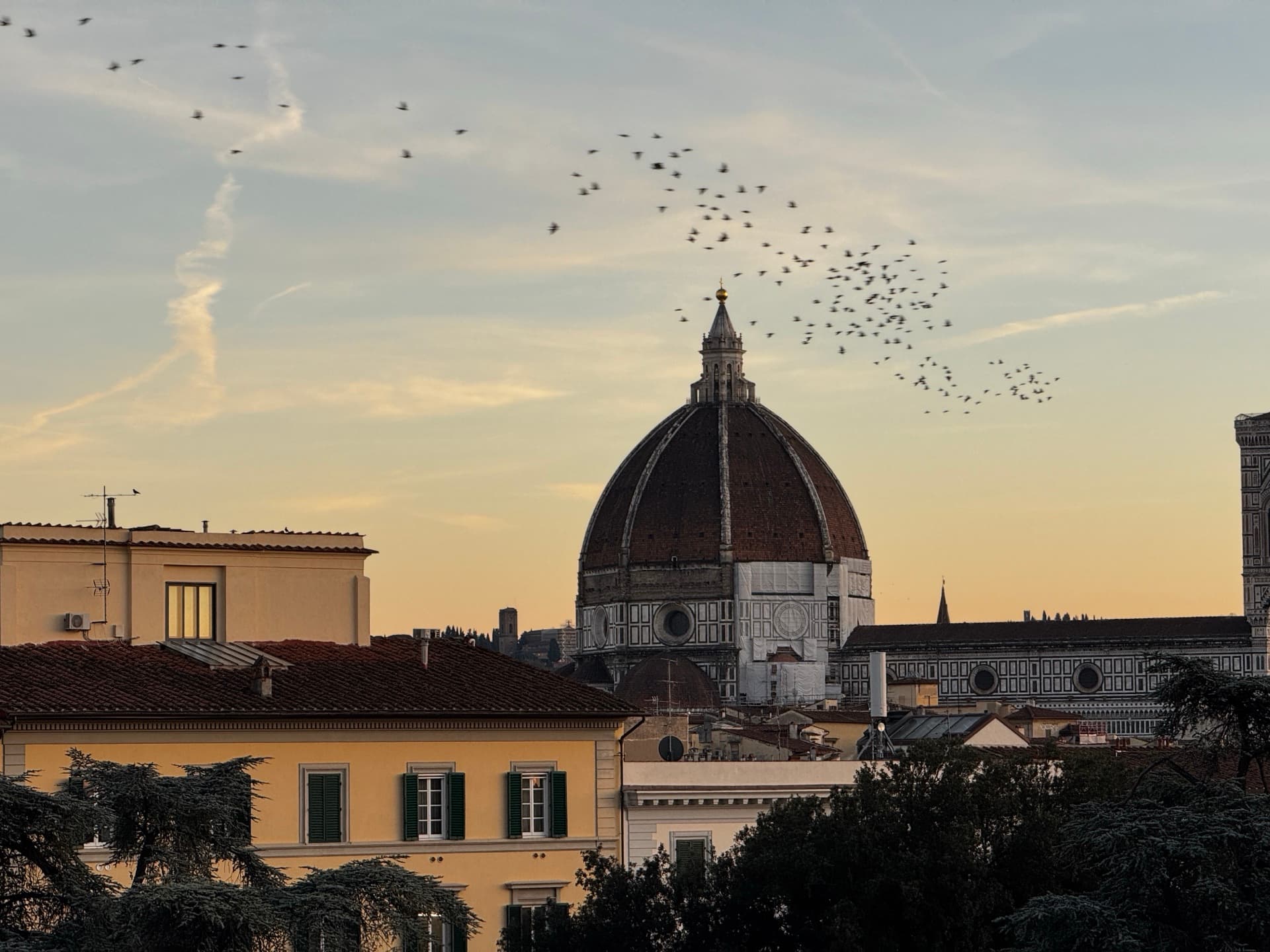 Florence skyline with the Duomo at golden hour, birds in flight over terracotta rooftops